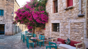 Η ΓΗ ΤΗΣ ΕΛΙΑΣ