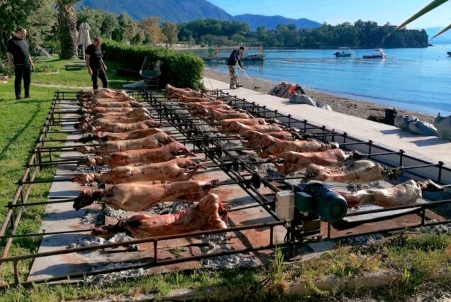 Κ Ε Ρ Κ Υ Ρ Α Ϊ Κ Ο Π Α Σ Χ Α